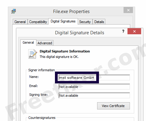 Screenshot of the mst software GmbH certificate